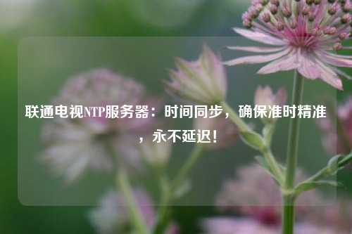 聯(lián)通電視NTP服務(wù)器：時(shí)間同步，確保準(zhǔn)時(shí)精準(zhǔn)，永不延遲！