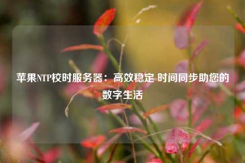 蘋(píng)果NTP校時(shí)服務(wù)器：高效穩(wěn)定 時(shí)間同步助您的數(shù)字生活