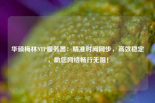 華碩梅林NTP服務(wù)器：精準(zhǔn)時(shí)間同步，高效穩(wěn)定，助您網(wǎng)絡(luò)暢行無(wú)阻！
