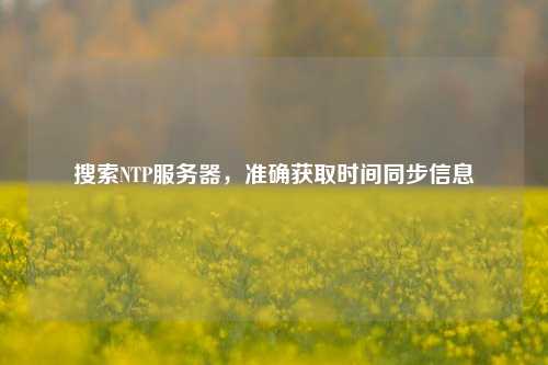 搜索NTP服務(wù)器，準確獲取時間同步信息