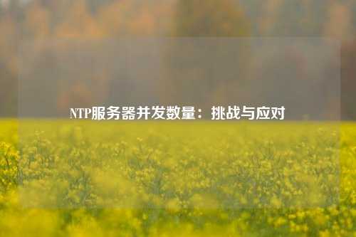 NTP服務(wù)器并發(fā)數(shù)量：挑戰(zhàn)與應(yīng)對(duì)