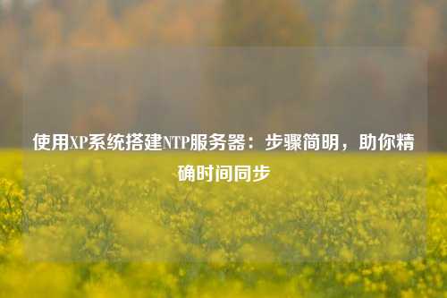 使用XP系統搭建NTP服務器：步驟簡明，助你精確時間同步