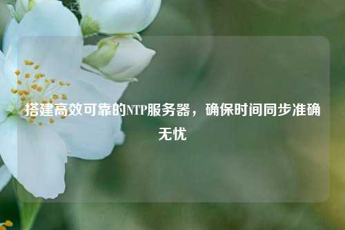 搭建高效可靠的NTP服務器，確保時間同步準確無憂