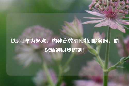 以2003年為起點(diǎn)，構(gòu)建高效NTP時間服務(wù)器，助您精準(zhǔn)同步時刻！